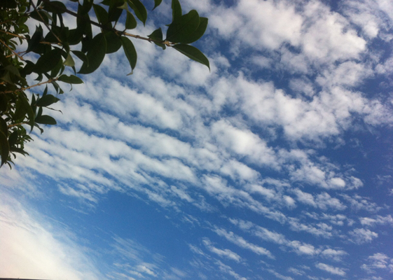 安徽得潤電氣 高低壓開關柜 變頻柜 咨詢熱線4000551777 安徽得潤電氣 高低壓開關柜 變頻柜 咨詢熱線4000551777