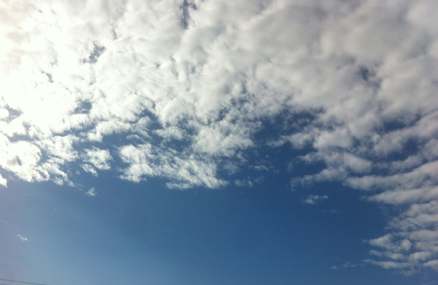 安徽得潤電氣 高低壓電容補償柜 軟啟柜 咨詢熱線4000551777 安徽得潤電氣 高低壓電容補償柜 軟啟柜 咨詢熱線4000551777